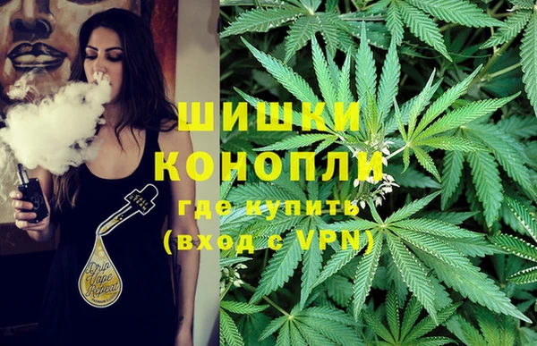 кокс Алзамай