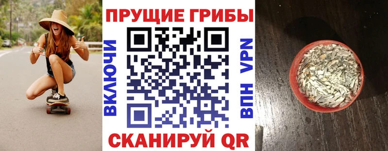Псилоцибиновые грибы Psilocybine cubensis  Салехард 