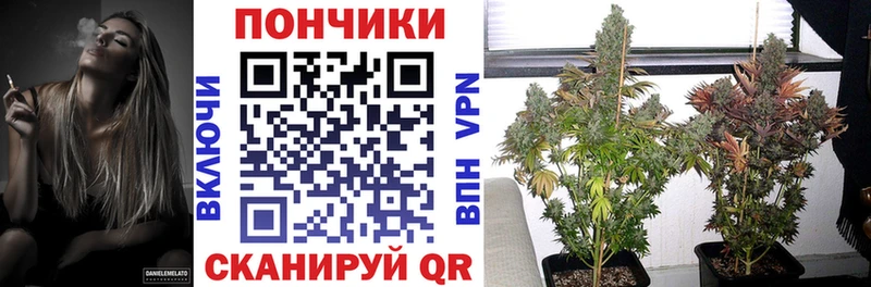 Марихуана конопля  Салехард 